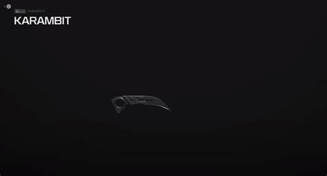 Karambit Best Loadout and Build